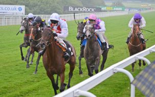 Racing at the final furlong.